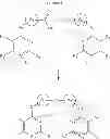 Fig. 22 - Anti-viral compounds