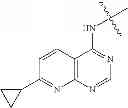 Fig. 77 - Anti-viral compounds