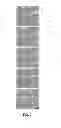 Fig. 03 - Materials and Methods Useful to Induce Vacuolization, Cell Death, or a Combination Thereof