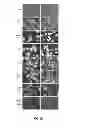 Fig. 33 - Materials and Methods Useful to Induce Vacuolization, Cell Death, or a Combination Thereof