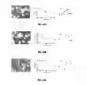 Fig. 35 - Materials and Methods Useful to Induce Vacuolization, Cell Death, or a Combination Thereof