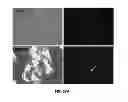 Fig. 40 - Materials and Methods Useful to Induce Vacuolization, Cell Death, or a Combination Thereof