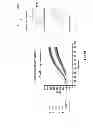 Fig. 47 - Materials and Methods Useful to Induce Vacuolization, Cell Death, or a Combination Thereof