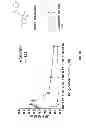 Fig. 48 - Materials and Methods Useful to Induce Vacuolization, Cell Death, or a Combination Thereof