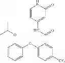 Fig. 205 - Pyridone amides as modulators of sodium channels