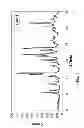 Fig. 02 - Polymorphs and amorphous forms of 5-amino-1-[2,6-dichloro-4-(trifluoromethyl)phenyl]-4-[(trifluoromethyl)sulfinyl]-1H-pyrazole-3-carbonitrile