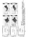 Fig. 05 - MOLECULAR TARGETS FOR HEALING OR TREATING WOUNDS