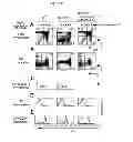 Fig. 03 - METHODS AND PHARMACEUTICAL COMPOSITIONS FOR TREATING LYMPHOID MALIGNANCY