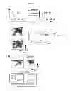 Fig. 05 - METHODS AND PHARMACEUTICAL COMPOSITIONS FOR TREATING LYMPHOID MALIGNANCY