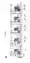 Fig. 16 - METHODS AND PHARMACEUTICAL COMPOSITIONS FOR TREATING LYMPHOID MALIGNANCY
