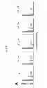 Fig. 19 - METHODS AND PHARMACEUTICAL COMPOSITIONS FOR TREATING LYMPHOID MALIGNANCY