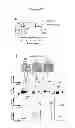 Fig. 27 - METHODS AND PHARMACEUTICAL COMPOSITIONS FOR TREATING LYMPHOID MALIGNANCY
