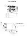 Fig. 32 - METHODS AND PHARMACEUTICAL COMPOSITIONS FOR TREATING LYMPHOID MALIGNANCY