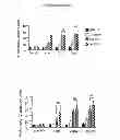Fig. 40 - METHODS AND PHARMACEUTICAL COMPOSITIONS FOR TREATING LYMPHOID MALIGNANCY