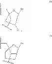 Fig. 05 - Methods for modulating kallikrein (KLKB1) expression