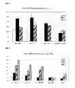 Fig. 02 - METHOD FOR PROLIFERATION CARDIOMYOCYTES USING MICRO-RNA