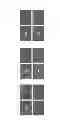 Fig. 04 - METHOD FOR PROLIFERATION CARDIOMYOCYTES USING MICRO-RNA
