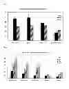 Fig. 02 - METHOD FOR PROLIFERATION CARDIOMYOCYTES USING MICRO-RNA