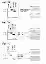 Fig. 02 - Modulation of exon recognition in pre-mRNA by interfering with the secondary RNA structure