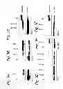 Fig. 05 - Modulation of exon recognition in pre-mRNA by interfering with the secondary RNA structure