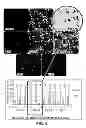 Fig. 07 - Optimization of vectors for effective delivery and expression of genetic content