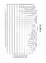 Fig. 11 - Optimization of vectors for effective delivery and expression of genetic content