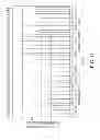 Fig. 12 - Optimization of vectors for effective delivery and expression of genetic content