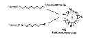 Fig. 01 - POLYMERIC NANOPARTICLES FOR DRUG DELIVERY