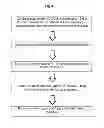 Fig. 05 - PROCESSES, PRODUCTS AND METHODOLOGIES FOR MAKING AND USING NOVEL BIOADVANTAGED SWEETENERS