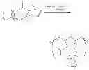Fig. 49 - Preparation of bottlebrush polymers via ring-opening metathesis polymerization