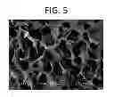Fig. 06 - Albumin tissue scaffold