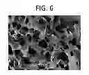 Fig. 07 - Albumin tissue scaffold