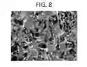 Fig. 09 - Albumin tissue scaffold