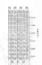 Fig. 50 - Compositions and methods relating to nucleic acid nano- and micro-technology