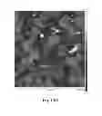 Fig. 52 - Compositions and methods relating to nucleic acid nano- and micro-technology