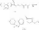 Fig. 41 - Method for the preparation of substituted oxazolidinones