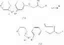 Fig. 43 - Method for the preparation of substituted oxazolidinones