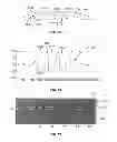 Fig. 09 - WAVELET-BASED SYSTEM AND METHOD FOR ANALYZING A PHYSIOLOGICAL SIGNAL
