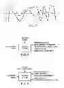 Fig. 06 - Low-complexity sensor displacement tolerant pulse oximetry based heart rate measurement