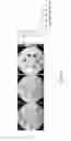 Fig. 09 - CEST MRI methods for imaging glutaminolysis in cancer
