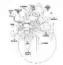 Fig. 01 - System for tracking microsurgical instrumentation