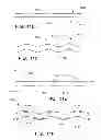 Fig. 15 - Disposable absorbent article with profiled absorbent core