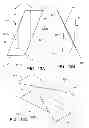 Fig. 16 - Disposable absorbent article with profiled absorbent core