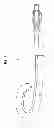 Fig. 02 - Catheter