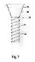 Fig. 05 - Bone plate