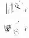 Fig. 02 - DEVICE FOR PROVIDING TACTILE FEEDBACK FOR ROBOTIC APPARATUS USING ACTUATION