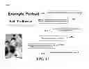 Fig. 16 - Use of behavioral portraits in web site analysis