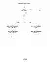 Fig. 06 - Training ensembles of randomized decision trees