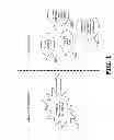 Fig. 02 - INFORMATION GATHERING VIA CROWD-SENSING