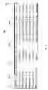 Fig. 14 - Sequential chain registry